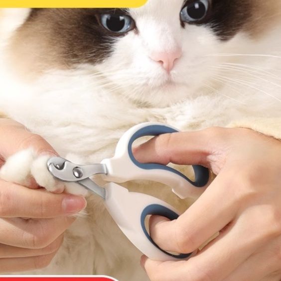 猫グッズ 猫専用安全設計爪切り