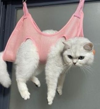 猫グッズ 猫用吊り下げ式保定ハンモック