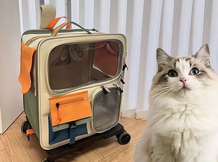 猫グッズ 愛猫のための多機能キャリーケース付き避難用運搬鞄