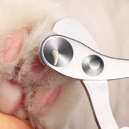 猫グッズ 猫用安全設計血管保護爪切り