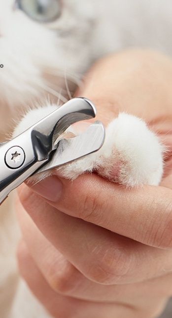 猫グッズ 猫用ギロチン型爪切り初心者向け安全設計