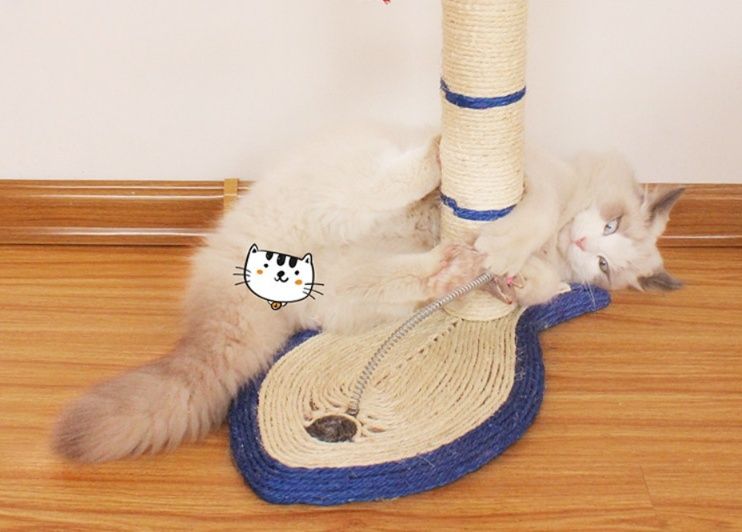https://fulmo-img-server.com/nyanmono/1792042671205_prgw2lmj_zirn2aon.jpeg