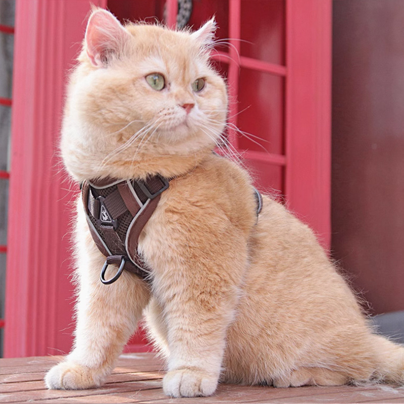 猫グッズ 猫用避難確保ハーネス