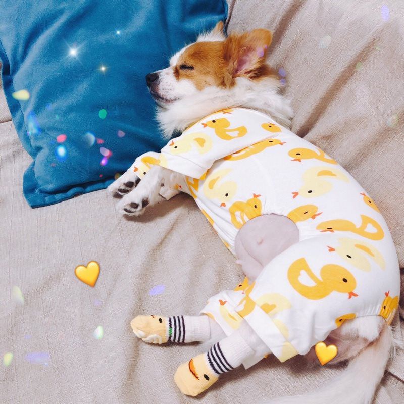 猫グッズ 防災グッズ 猫用緊急時滑り止め保護靴下