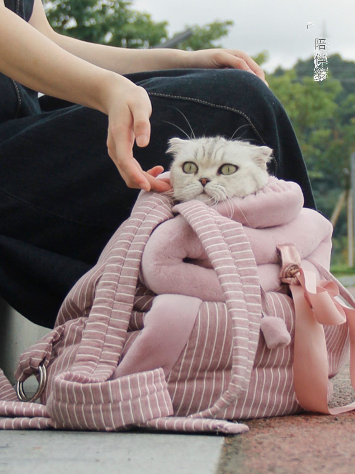 猫グッズ にゃんともあんしん避難キャリー