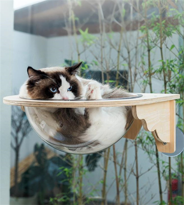 猫グッズ 透明宇宙船型猫用吊り下げ寝床 運動不足解消グッズ 木製台座