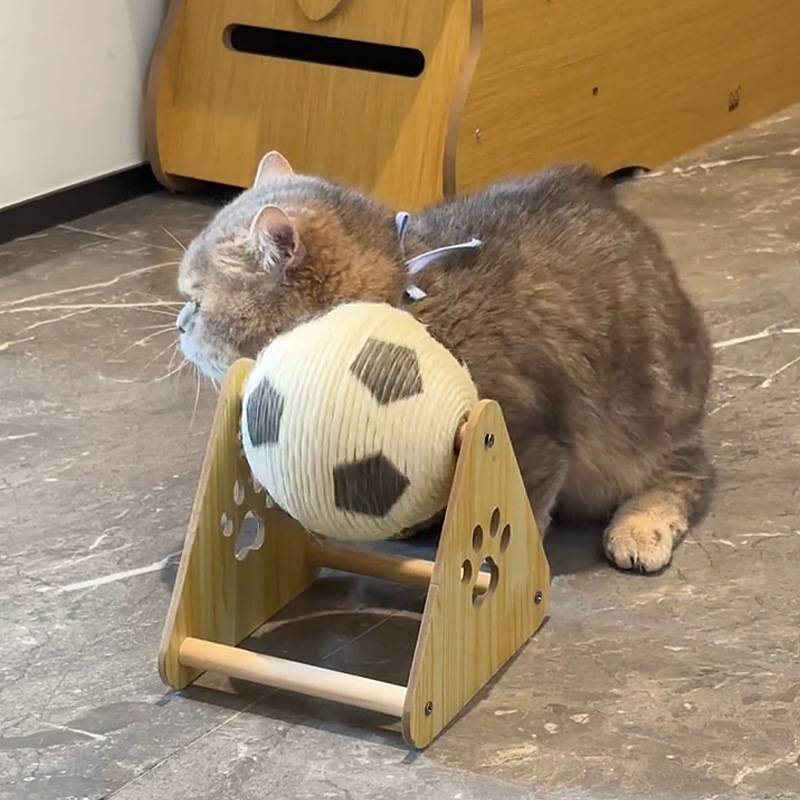 猫グッズ エラー