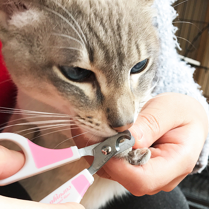 猫グッズ 爪切りグッズ やさしいタッチ猫専用爪切りはさみ