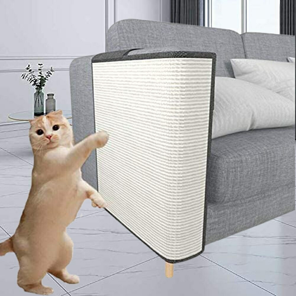 https://fulmo-img-server.com/nyanmono/69628303-cb8f-4610-a9db-42de0aabd0e2.jpg