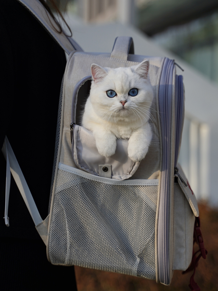 猫グッズ 災害対応ねこ避難リュック