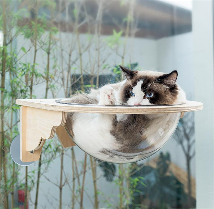 猫グッズ 透明宇宙船型猫用吊り下げ寝床 運動不足解消グッズ 木製台座