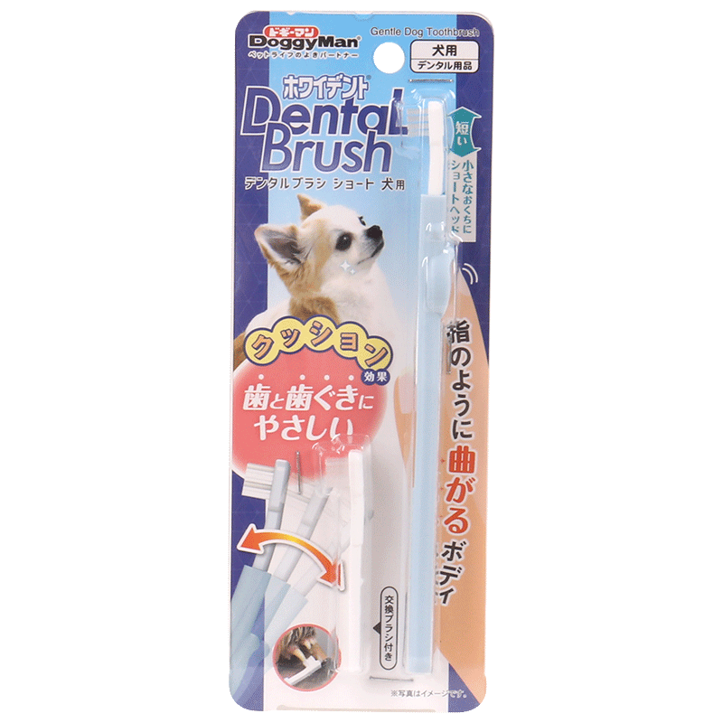 猫グッズ 歯磨きグッズにゃんこのお口ケア 歯ブラシセット