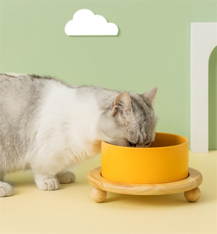 猫グッズ 防災対応 猫用首保護陶磁器餌椀 木製台座付き