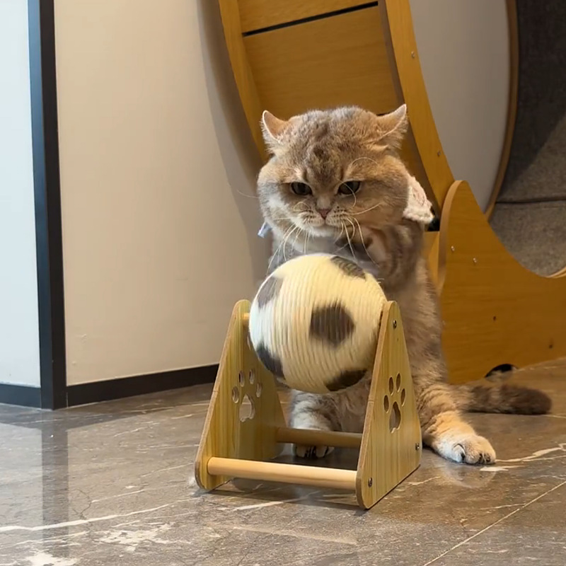 猫グッズ エラー