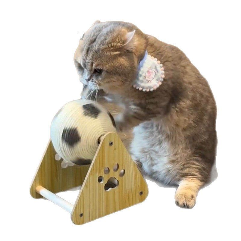 猫グッズ エラー