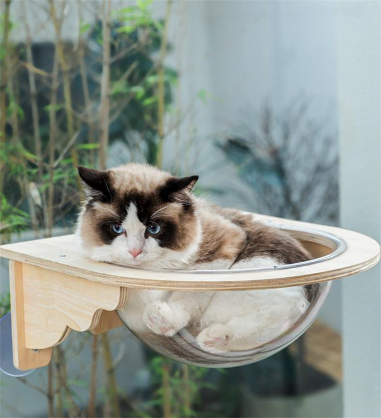猫グッズ 透明宇宙船型猫用吊り下げ寝床 運動不足解消グッズ 木製台座