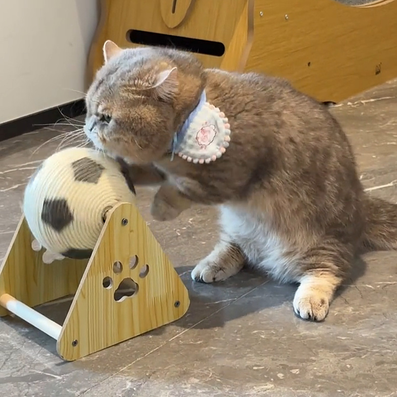 猫グッズ エラー