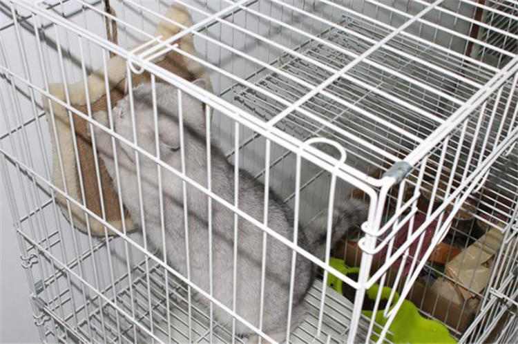 猫グッズ 猫耳型爪とぎマット 爪切りグッズ 壁保護 耐久猫用品