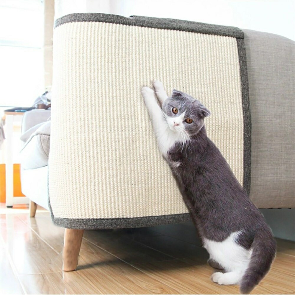 https://fulmo-img-server.com/nyanmono/f6b224e1-3269-448d-ba52-2810e795fd69.jpg
