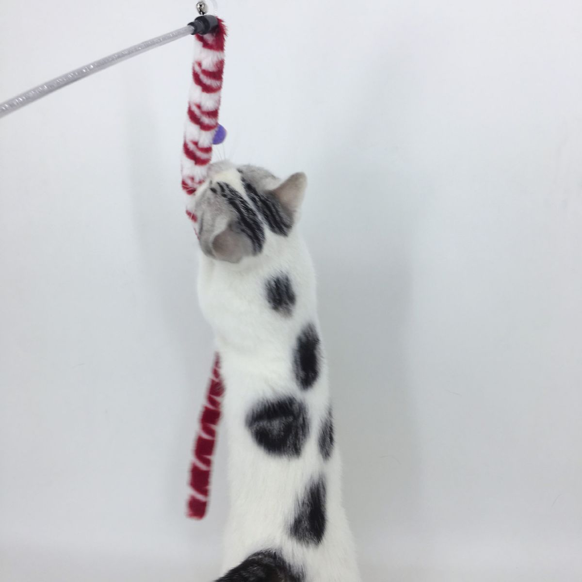 猫グッズ ねこじゃらしフリフリロッド
