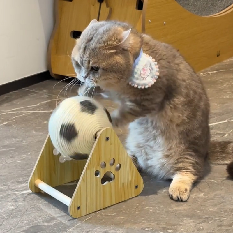 猫グッズ エラー
