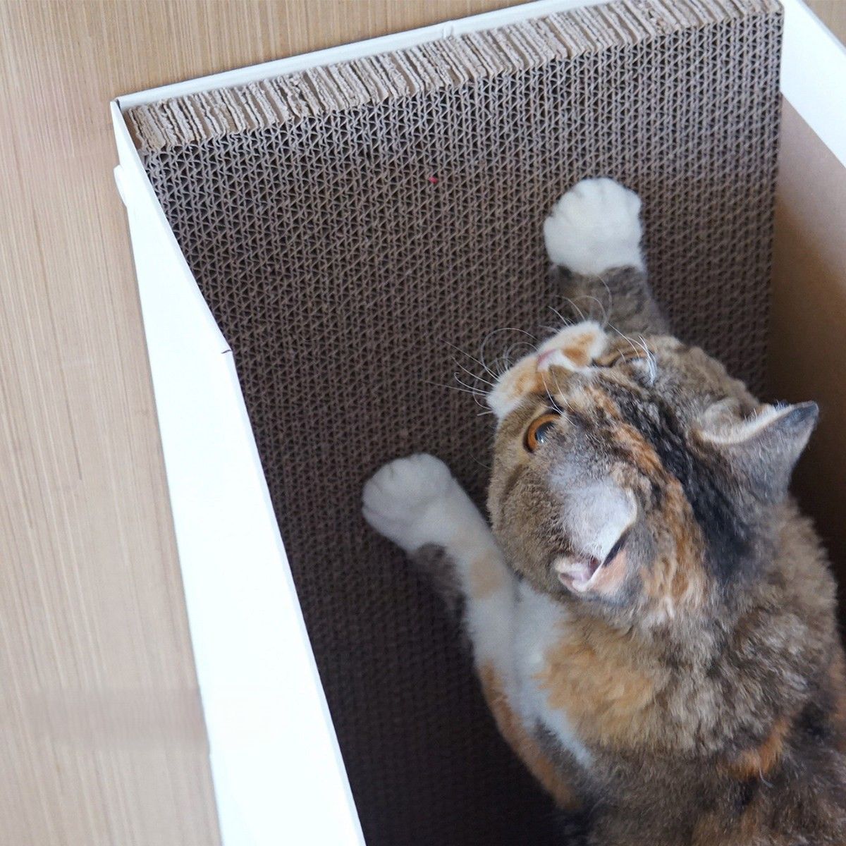 猫爪とぎ 大型猫も使える高さ調整式立て型ダンボール爪とぎ