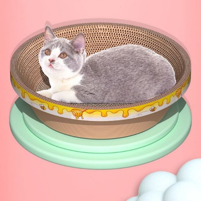 https://fulmo-img-server.com/nyantsume/1787655265213_aleajglh_mjc52h5k.jpeg