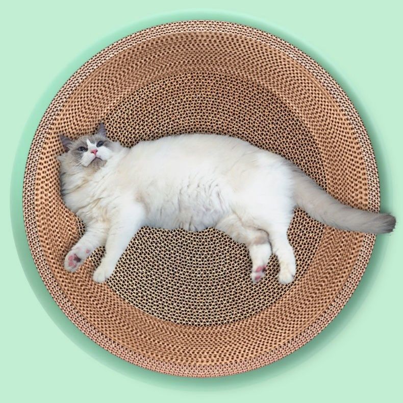 https://fulmo-img-server.com/nyantsume/1787655276418_8s2s6nor_m7w3zibi.jpeg
