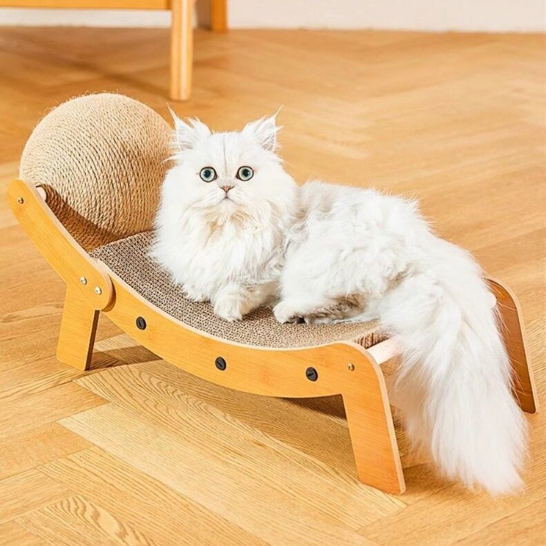https://fulmo-img-server.com/nyantsume/1787661228518_jjftrxv4_xb7kryyk.jpeg
