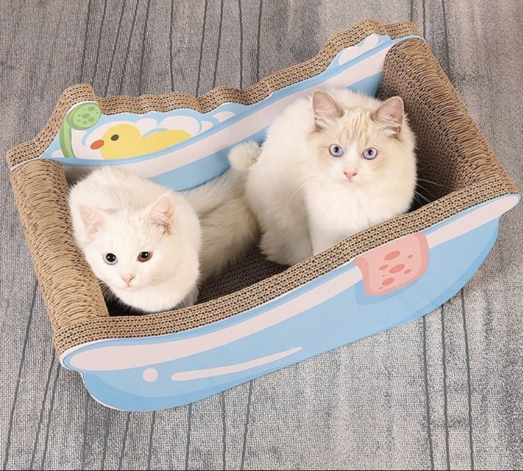 https://fulmo-img-server.com/nyantsume/1787755154328_hr5i6dj5_e4p31neb.jpeg