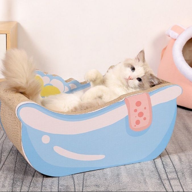 https://fulmo-img-server.com/nyantsume/1787755163647_z6hbxjer_x0q4yros.jpeg