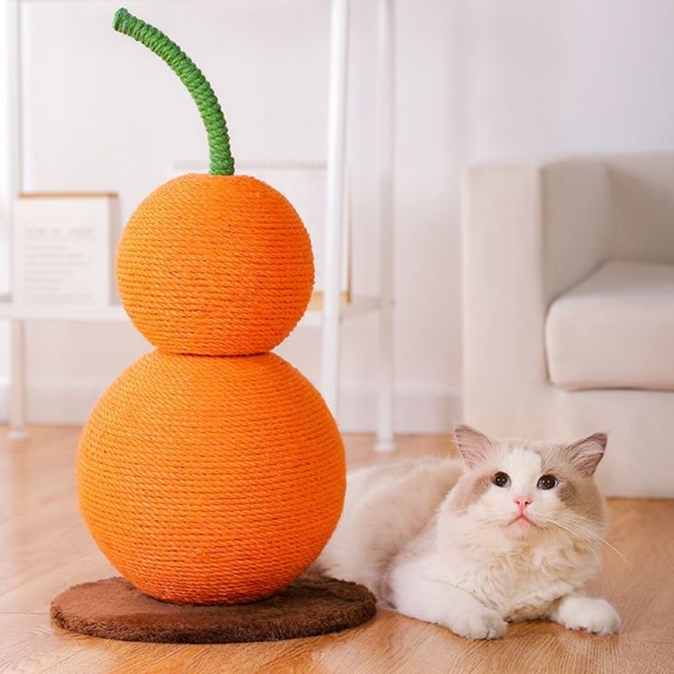 https://fulmo-img-server.com/nyantsume/1787755394789_5qv230ac_qzqq4k71.jpeg