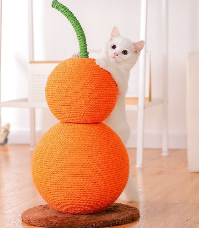 https://fulmo-img-server.com/nyantsume/1787755408230_nptqd9eg_yuzlb3tg.jpeg