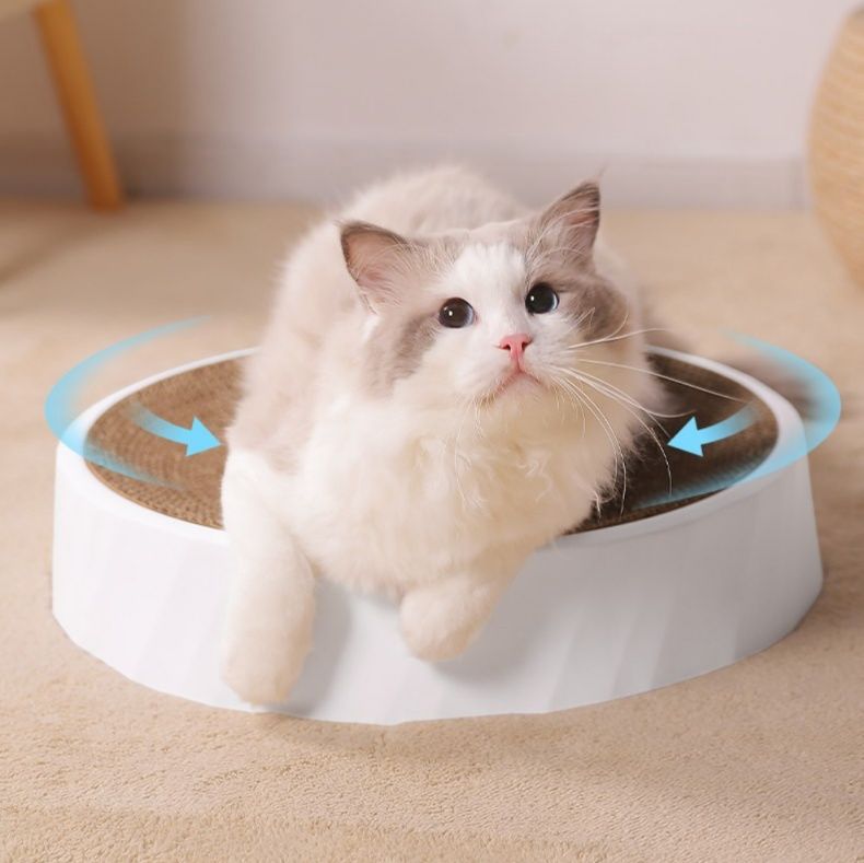 https://fulmo-img-server.com/nyantsume/1787756707124_2nv0xhmr_wt12t6c0.jpeg