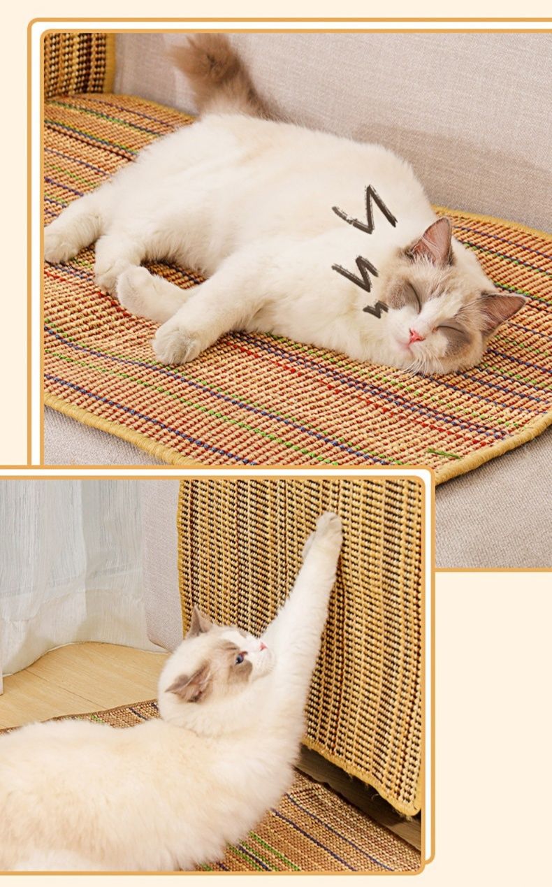 https://fulmo-img-server.com/nyantsume/1787807053864_msts5efa_z18bdk6s.jpeg