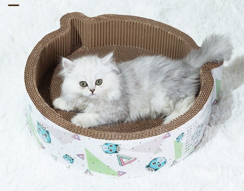 https://fulmo-img-server.com/nyantsume/1787823472231_cjca9ivt_i8ewoqnf.jpeg