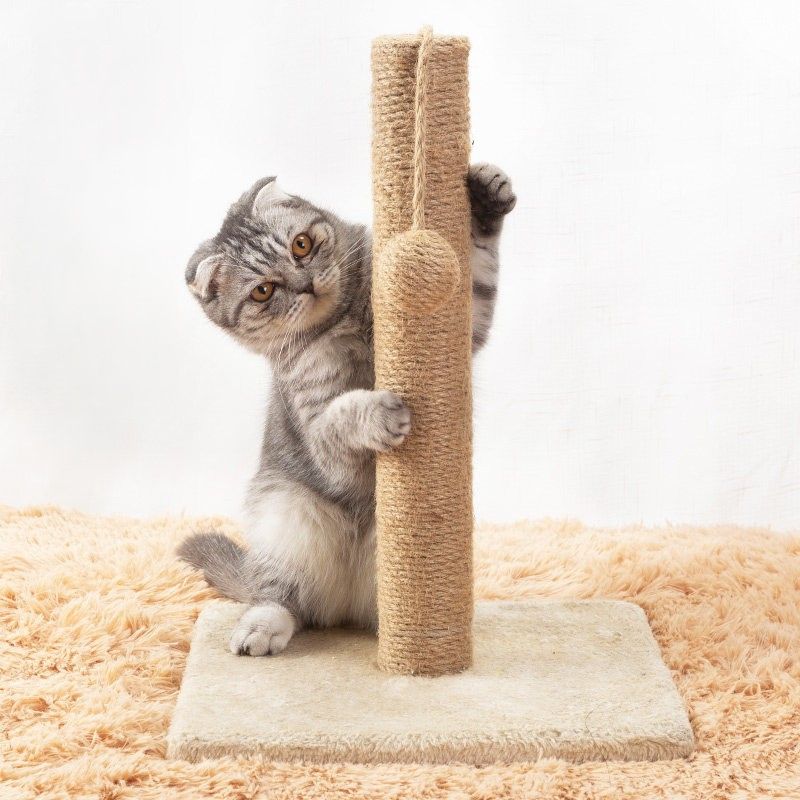 猫爪とぎ 麻縄巻き猫爪とぎポールスタンド おもちゃ球付き