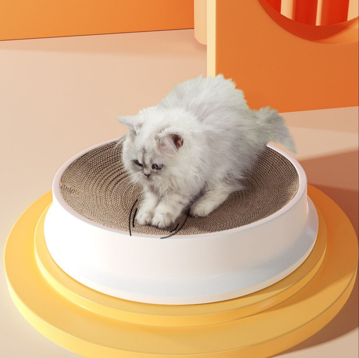 https://fulmo-img-server.com/nyantsume/1787824628522_gyq9sjzf_35twcmtd.jpeg