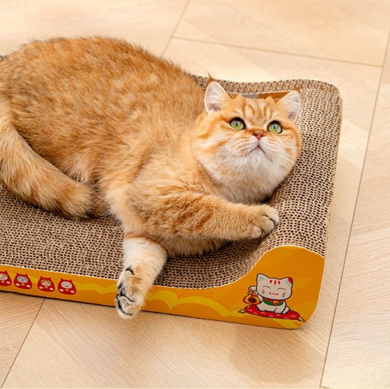 https://fulmo-img-server.com/nyantsume/1788017233467_g2nqyo27_kl7x7hqc.jpeg