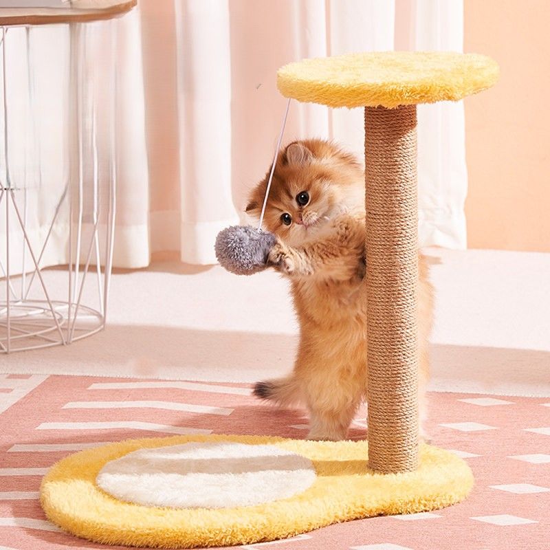 https://fulmo-img-server.com/nyantsume/1788019304989_eygm2frf_fdnvehns.jpeg