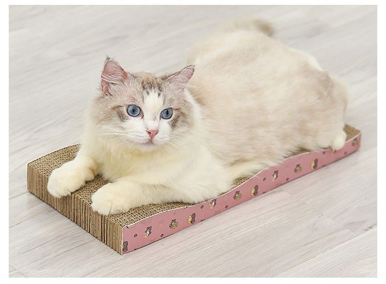 https://fulmo-img-server.com/nyantsume/1788024043802_o6dpjmd4_kq6q228i.jpeg