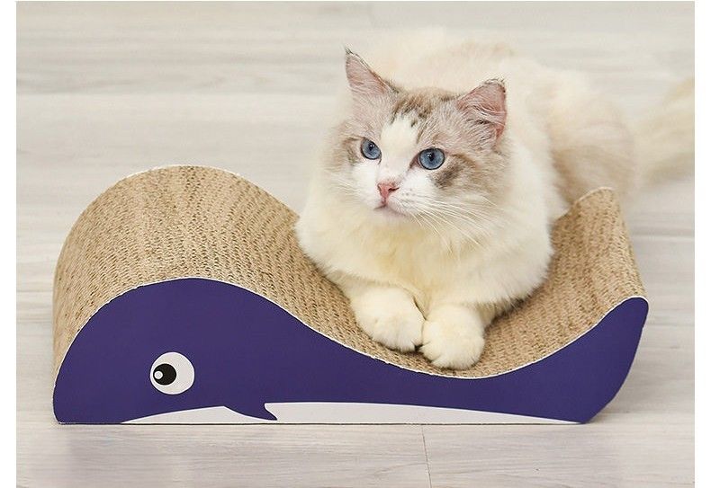 https://fulmo-img-server.com/nyantsume/1788024044417_5avhey2l_k05coknw.jpeg