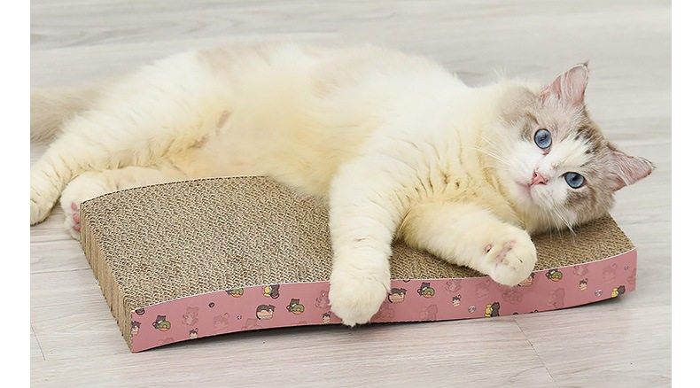 https://fulmo-img-server.com/nyantsume/1788024107515_4raqk347_2z284lhr.jpeg