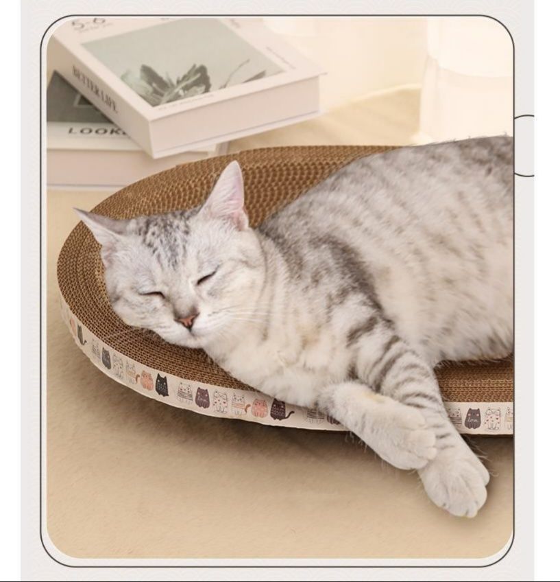 https://fulmo-img-server.com/nyantsume/1788024924664_p8ivsjgm_ag8hliau.jpeg
