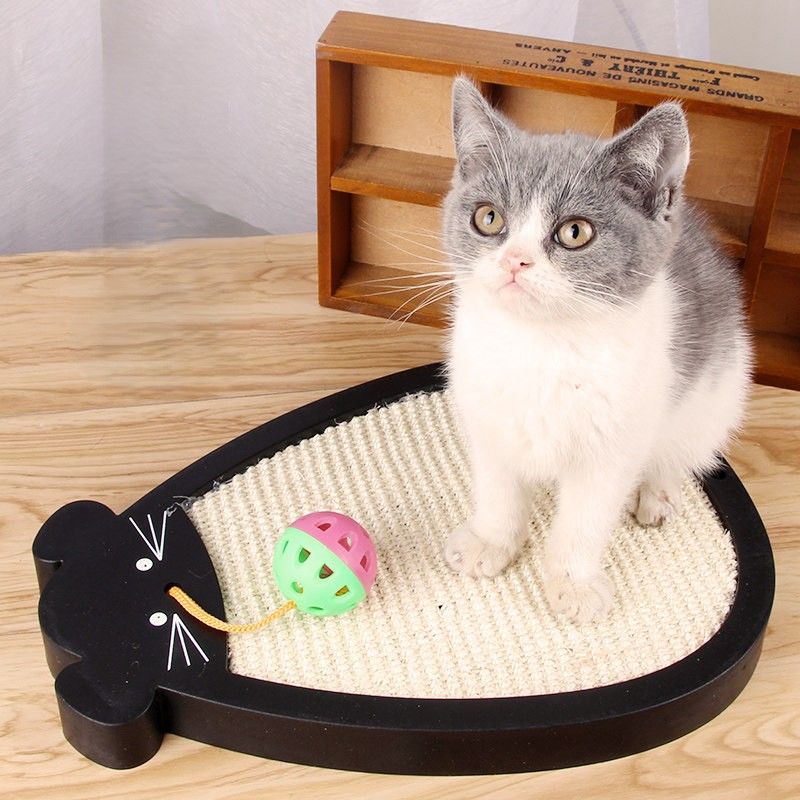 https://fulmo-img-server.com/nyantsume/1788162338797_2evgvihn_6nth83bh.jpeg