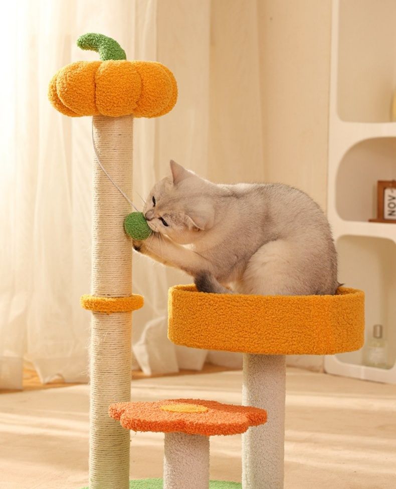 https://fulmo-img-server.com/nyantsume/1788183507637_dls3skqa_7ccg46i7.jpeg