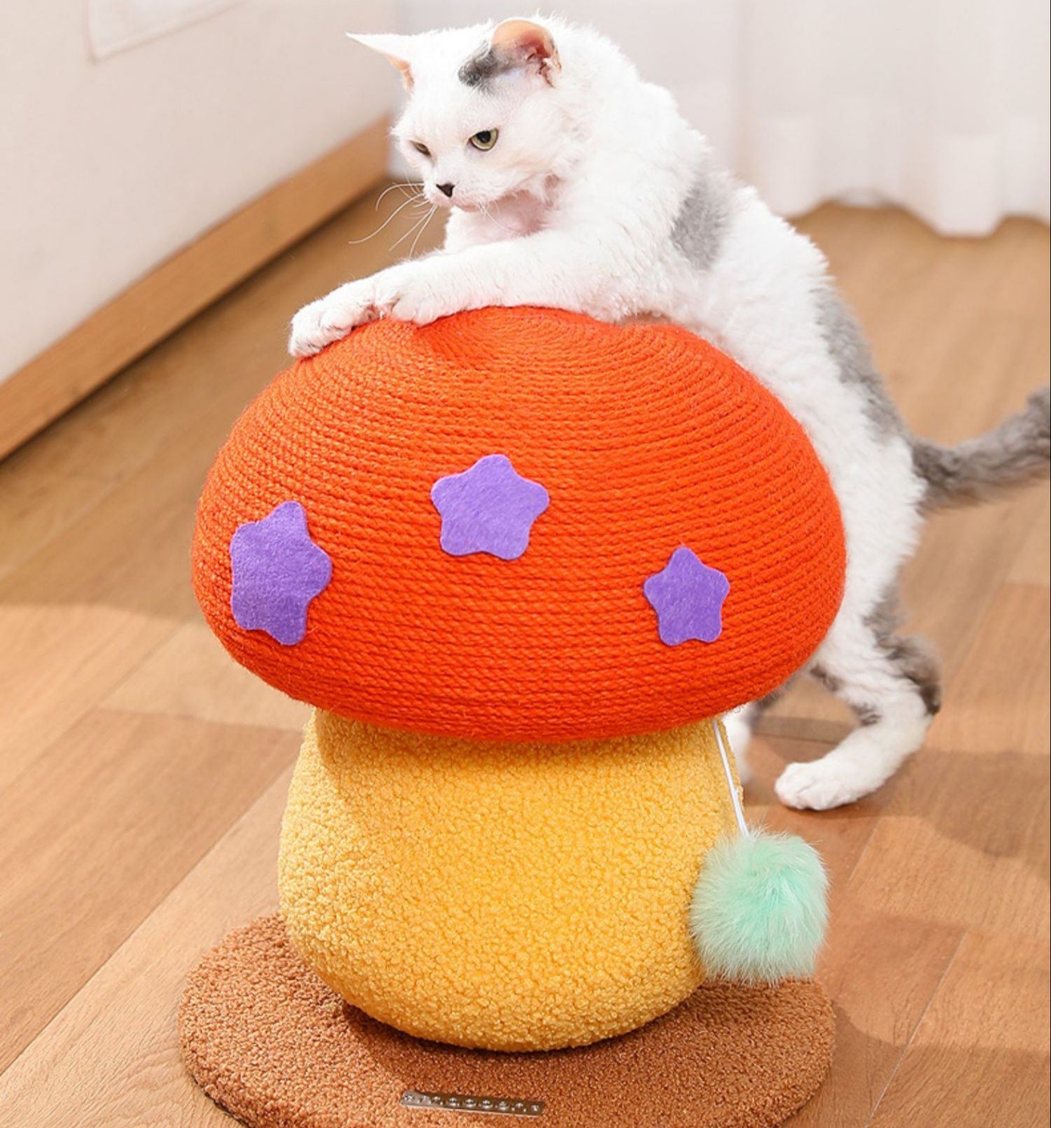 https://fulmo-img-server.com/nyantsume/1788184115628_ddr3qsr9_7nwlifob.jpeg