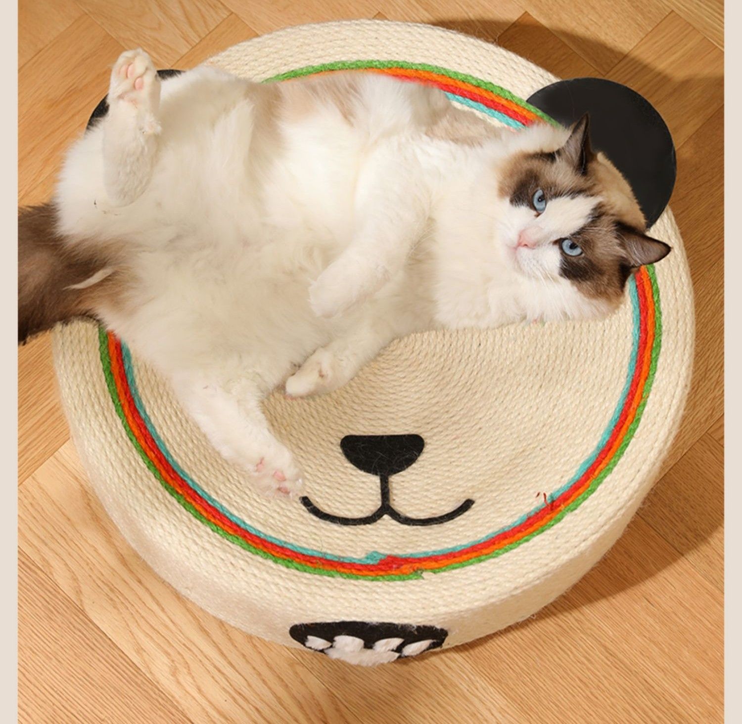 https://fulmo-img-server.com/nyantsume/1788184287880_8ljhep2c_bfq32wxi.jpeg