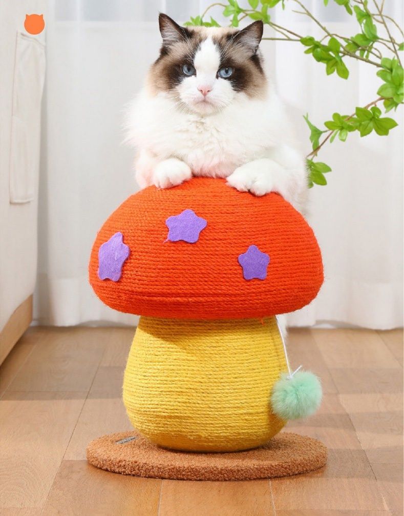 https://fulmo-img-server.com/nyantsume/1788190638752_gtujovfb_pran6jjt.jpeg