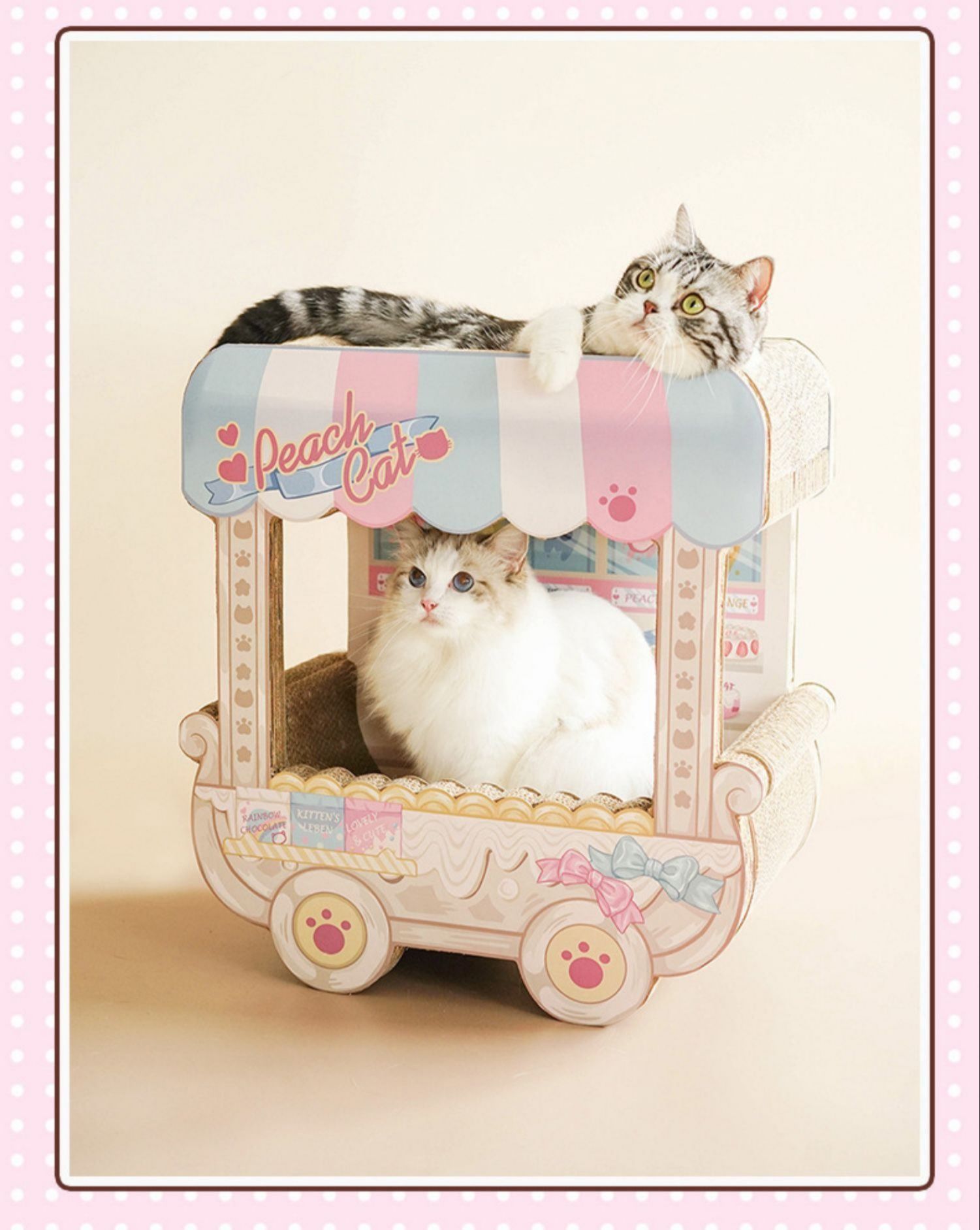 https://fulmo-img-server.com/nyantsume/1788191098945_un0d8fn6_o4x403ga.jpeg